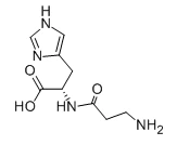 L{0}}Carnosine CAS NO.:305-84-0